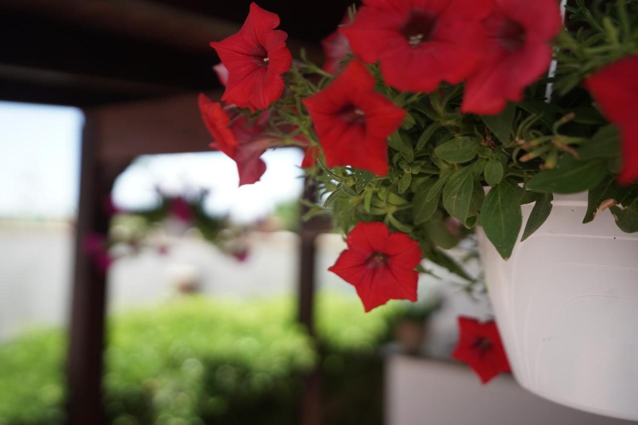 Salento Terra Maris Bed & Breakfast Cocumola Exterior foto